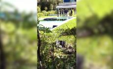 Forte dei Marmi, auto sfonda la recinzione e finisce in piscina di fronte alla Capannina