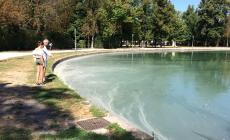 Quattro giorni di Street  Food Festival al parco Ducale