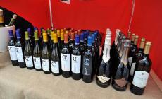 Festa del vino e street food in piazza Ghiaia - Gallery
