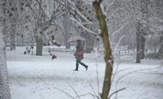 Allerta meteo arancione per lunedì nel Parmense : prevista neve sugli Appennini  e temporali in pianura
