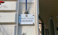 Wurstel con chiodi per gli animali in strada, denunciato un catanese - Video 