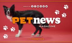 PetNews Magazine - 4/4/2023
