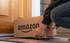 Gatta si intrufola in un pacco e viene spedita con Amazon attraverso gli Stati Uniti