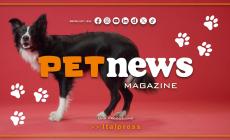 PetNews Magazine - 1/9/2025