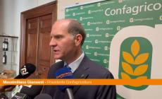 Giansanti "La salicoltura settore fondamentale per l'economia"