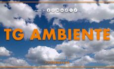 Tg Ambiente - 5/4/2026