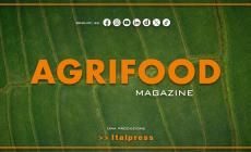 Agrifood Magazine - 15/4/2026