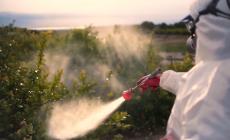 Pesticidi in agricoltura, cresce il rischio tumori