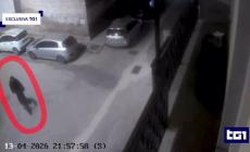 Foggia, omicidio personal trainer: al Tg1 il video del presunto killer