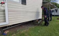 Furti in abitazione tra Friuli e Veneto: 5 misure cautelari, 4 in carcere