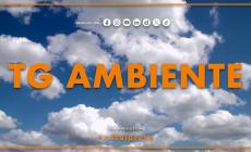 Tg Ambiente - 19/4/2026
