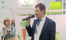 Macfrut, cresce l'attenzione delle famiglie italiane verso frutta e verdura