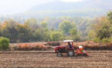 Cina, produzione di cereali in crescita anche nel 2026 secondo le previsioni