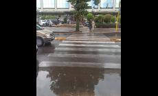 "Ad ogni pioggia viale Piacenza diventa... laghetto"