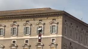 Parmigiani all'Angelus del Papa in piazza San Pietro - Video