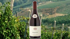 Pierre Andr&eacute; Pommard 2018, un bel rosso rubino, frutta matura al naso e vellutato al sorso