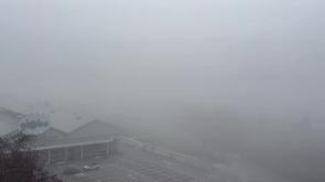 Nebbia Parma