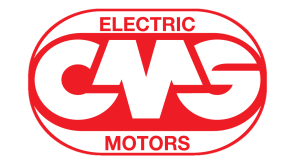 Oggi e Domani: la Forza di una Squadra