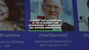 Il Nobel per la medicina agli scienziati che scoprirono "i guardiani" del sistema immunitario