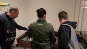 Arrestata passeggera con 17 kg di marijuana all'aeroporto di Malpensa