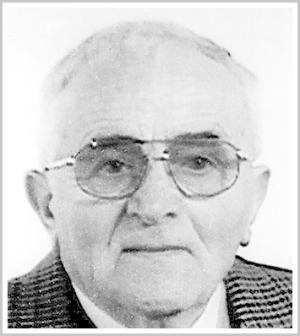 
																	NISO GIAVARINI 
																