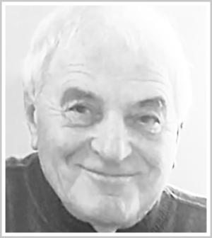 
																	MARIO CEVOLESI 
																