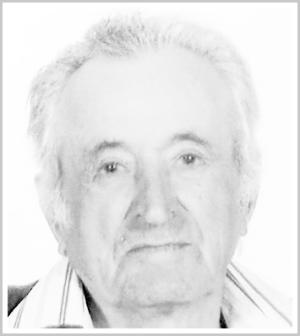
																	DOMENICO MAGNANI 
																
