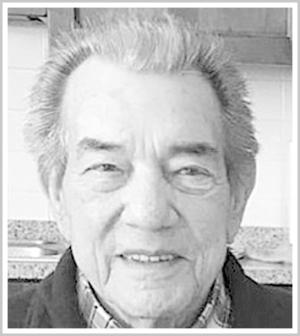 
																	GIOVANNI MANZELLA 
																