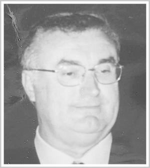 
																	MASSIMILIANO ZANETTINI 
																