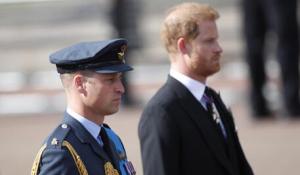 Da William, Camilla ai talebani uccisi, nel suo libro Harry ne ha un po' per tutti