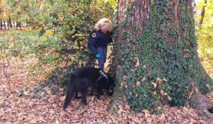 Polizia di Stato di Parma. Comunicato stampa Controlli straordinari del territorio
