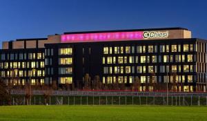 Lotta all'Alzheimer, le connessioni cerebrali aprono nuova via