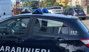 Cane salva la vita a minore aggredito dal padre, arrestato 50enne