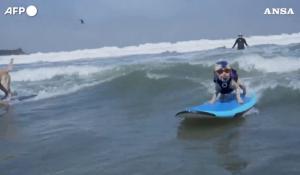 Surf, cani sulla cresta dell'onda in California