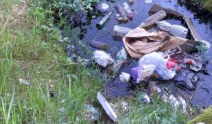 Vignali: "Più di otto segnalazioni di abbandono di rifiuti al giorno. Controlli: Parma ferma a quattro anni fa"