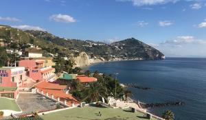 Parma: casa vacanze con vista mare all’interno di un complesso residenziale. Ma è una truffa. Denunciata 24enne italiana