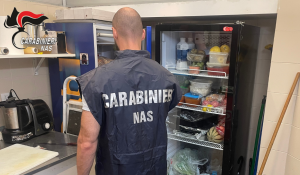 Alimenti scaduti e carenze igieniche. Sanzionate 2 attività