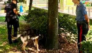 Parma: parco ducale e quartiere san leonardo al setaccio. Denunce, sanzioni, stupefacenti e armi sequestrate
