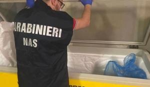 Intensificati i controlli sullo street food. Contestazioni e sanzioni per oltre 7.500 euro