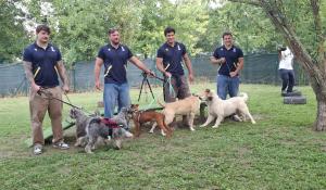 Coccole e sgambate: l'open day al polo Lilli e il Vagabondo. Tanti in cerca di amici a quattro zampe