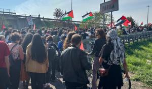 Il corteo Pro pal, in questo momento formato da 5mila persone, sta occupando la corsia nord della tangenziale