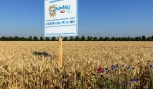 Mulino Bianco, arriva il nuovo Buongrano: piacere del gusto e attenzione per la terra