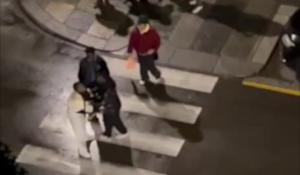 schiamazzi via verdi