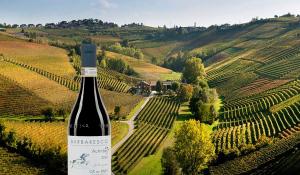Ca’ del Baio Barbaresco «Autinbej» 2022