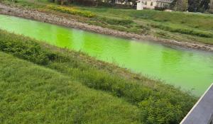 L'acqua della Parma è diventa verde fluo (al ponte delle Nazioni) - Le foto