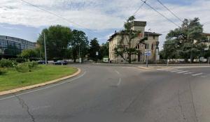 Si spezza una pianta, paura in via Emilia Ovest