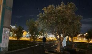 Il buio oltre... il parcheggio (via Volturno) delle torre delle Medicine - Le foto