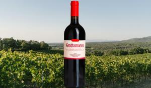 Bolgheri Superiore DOC Grattamacco 2022: Vendemmia numero 40 per un vino iconico, balsamico ed elegante