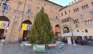 L'albero di Natale è arrivato in Piazza Garibaldi