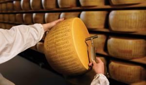Parmigiano reggiano: al via la battitura del primo lotto di forme prodotte nel 2025, protagonista della nuova campagna “momenti iconici”